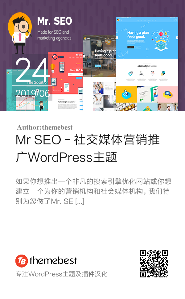 Mr SEO - 社交媒体营销推广WordPress主题